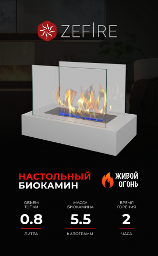 Биокамин Galea белый (ZeFire)