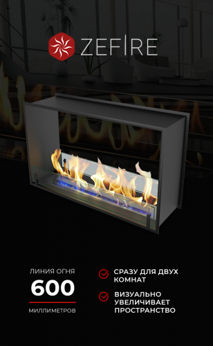 Биокамин сквозной Standart 900 (ZeFire)