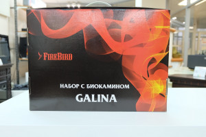 Набор: биокамин GALINA, биотопливо (1.5 л), зажигалка