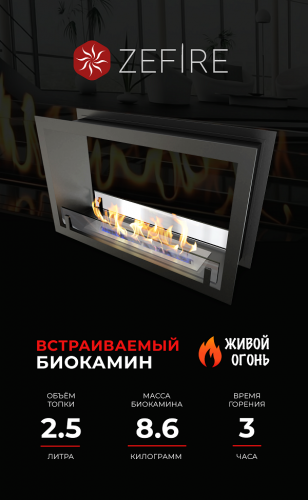 Биокамин сквозной Standart 700 (ZeFire)