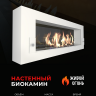 Биокамин Orion 1200 белый со стемалитом и стеклом (ZeFire)