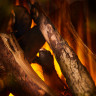 New Forest 1600 with Deluxe Real logs New Forest 1600 with Deluxe Real logs