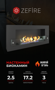Биокамин Orion 900 со стеклом (ZeFire)