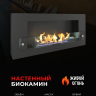 Биокамин Orion 900 со стеклом (ZeFire) Биокамин Orion 900 со стеклом (ZeFire)