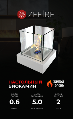 Биокамин Quant metall (ZeFire)